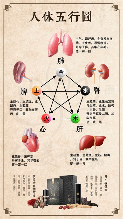 醫院 五行|医疗行业五行属性